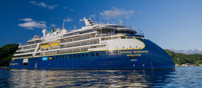 Realm of Penguins & Icebergs